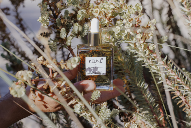 Hand im Strauch hält Haarölflakon